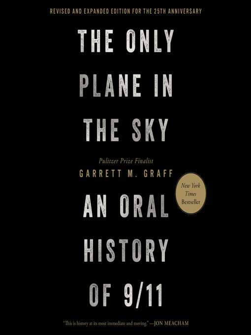 Cover image for The Only Plane in the Sky